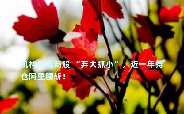 机构买电商股 “弃大抓小”，近一年持仓阿里腰斩！